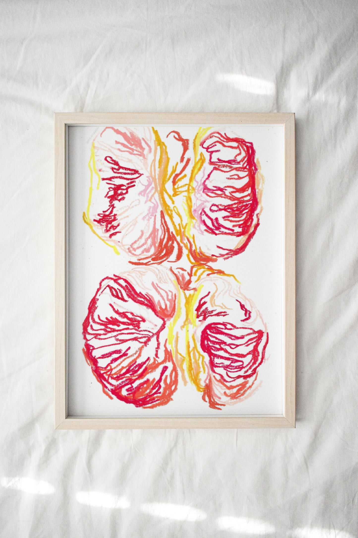 Orange Sanguine