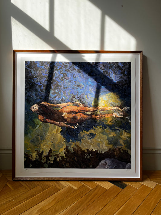 Framed First Edition Print: Dive